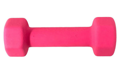 Basics Neoprene Hex Dumbbell Set, 2LB & 3LB Pair, Anti-Roll, All-Purpose, Hand Weights